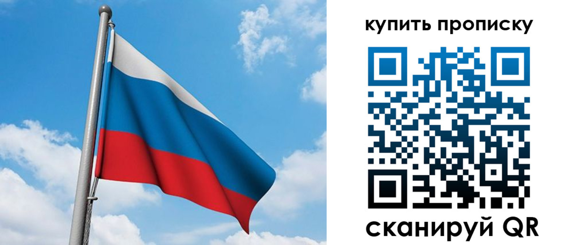прописка законно в Выборге